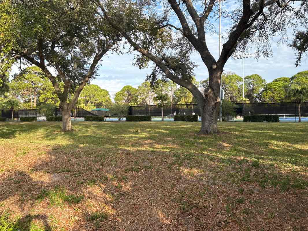 walking near me in McMullen Tennis Complex in winter