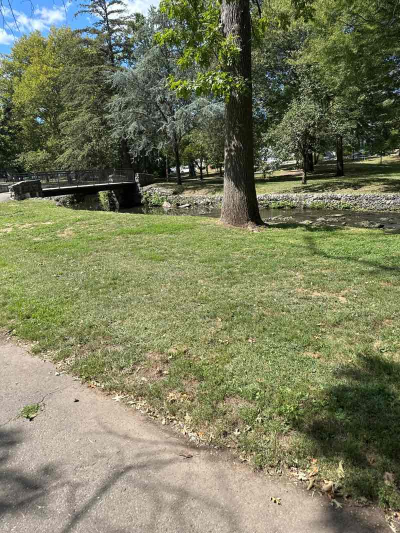 walking near me in Booth Park in autumn