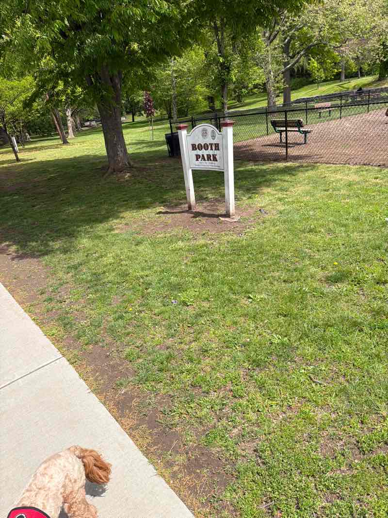 walking near me in Booth Park in spring