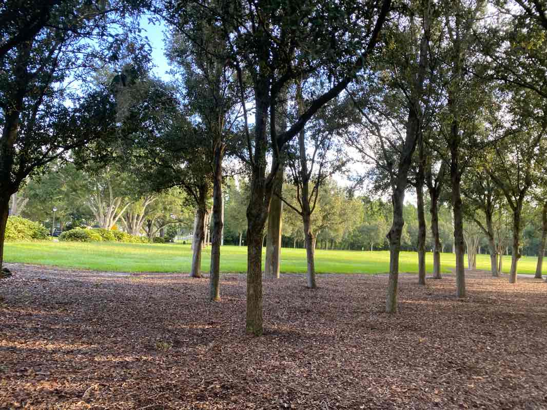 walking near me in Handley Park in autumn