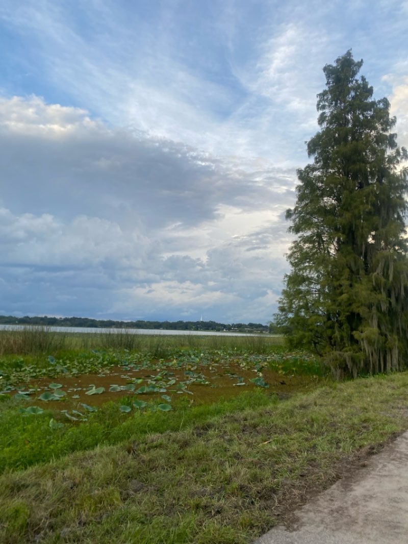 walking near me in Thomas B. Mack Park in autumn