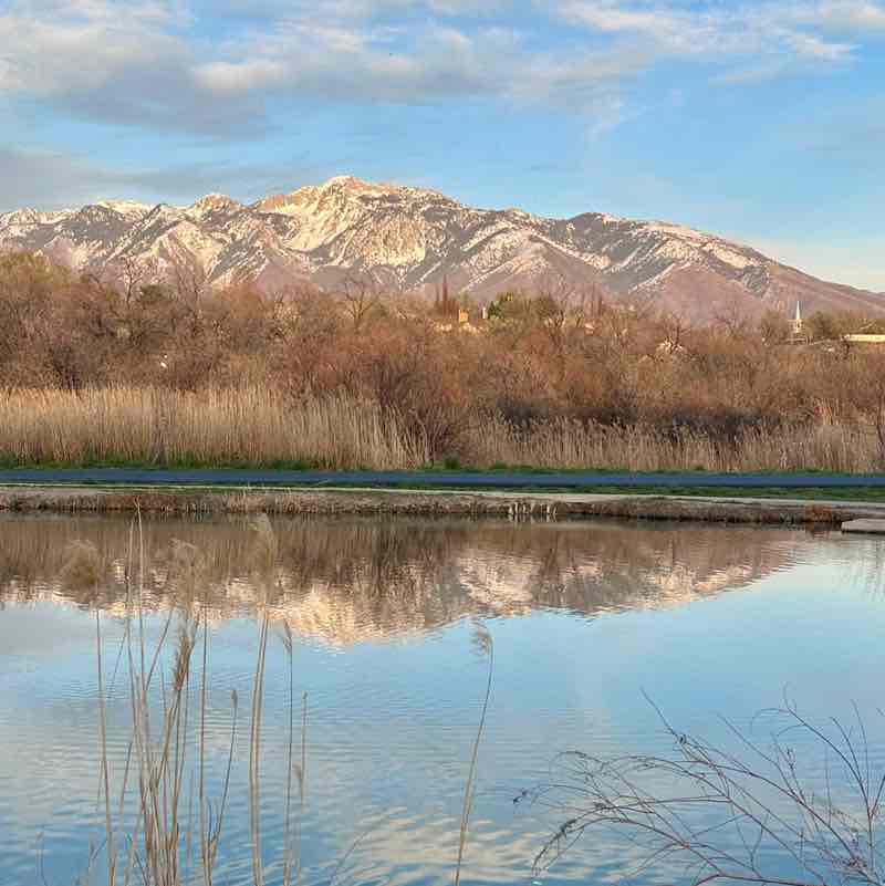 JI Spring Health Challenge Beth post image