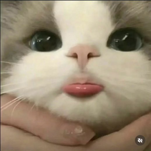 Kawaii Nancy Gray profile