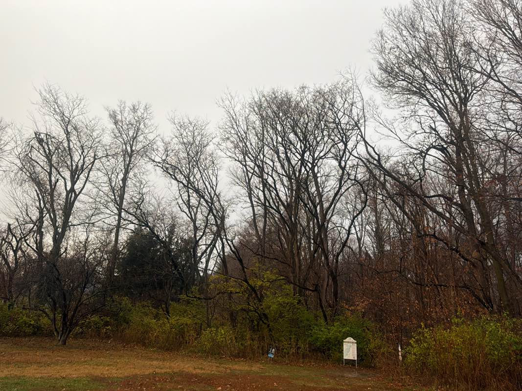 walking near me in Starkey Nature Park in autumn