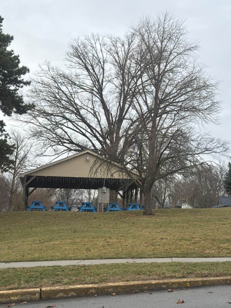 walking near me in Robe Ann Park in winter