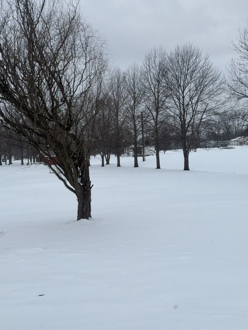 walking near me in Baugh Memorial Park in winter