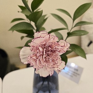 young-joo.lee - 3721202 - KR - Operation icon