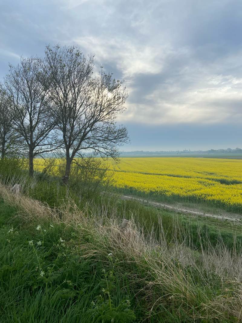 walking near me in Poelbos in spring