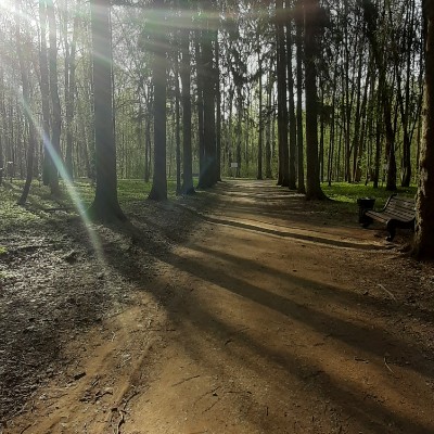 Мы Наталья Николаевна post image