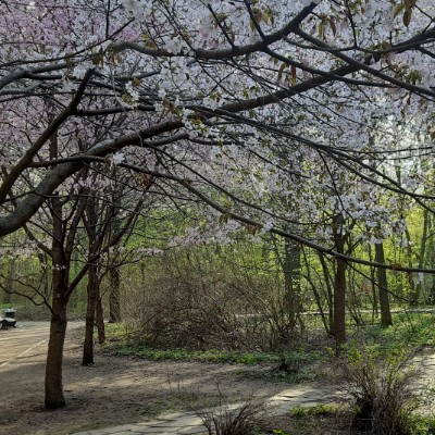 Мы Наталья Николаевна post image