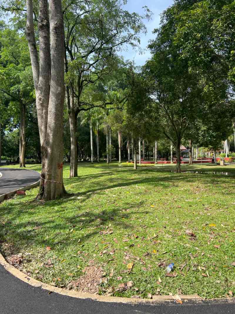 walking near me in Taman Tengku Anis in autumn