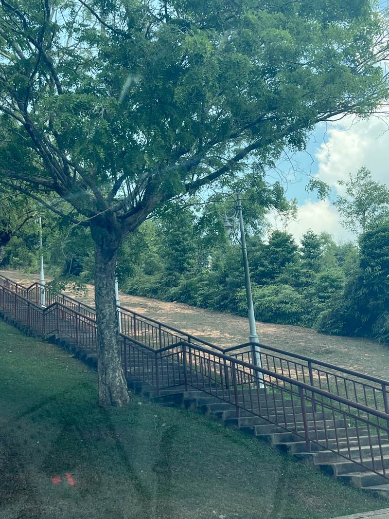 walking near me in P15 Park in autumn