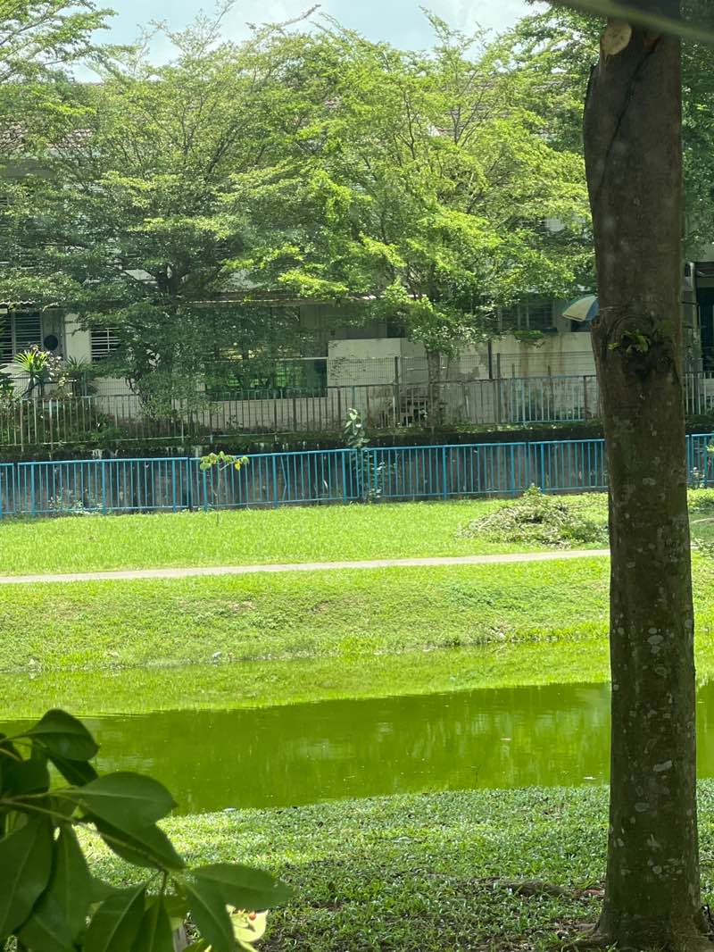 walking near me in TTDI Grove Lake Park in autumn