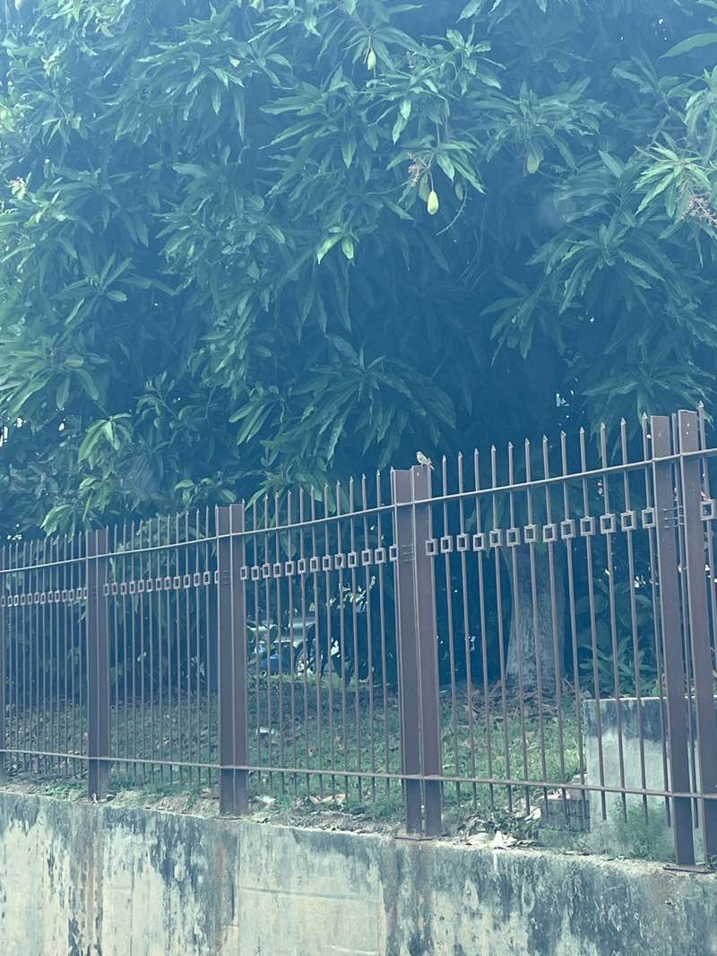 walking near me in Bukit Mewah Phase 9 & 10 Mini Park in autumn