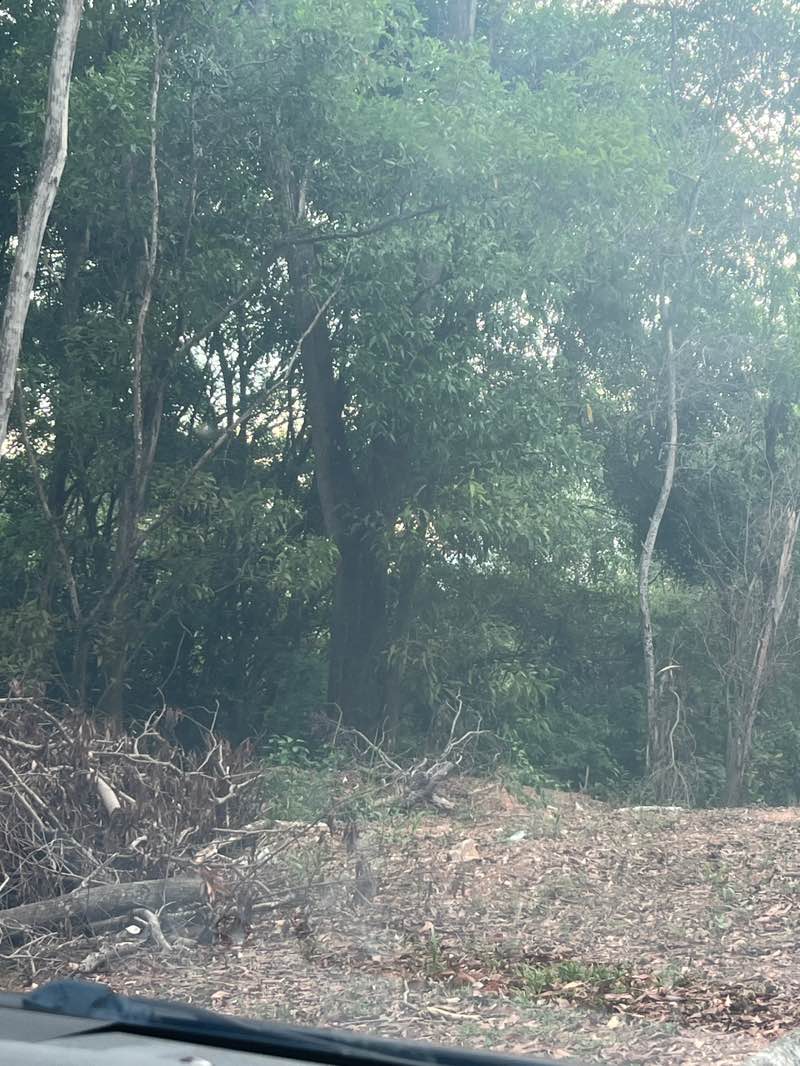 walking near me in Taman Bandar Baru Nilai in autumn