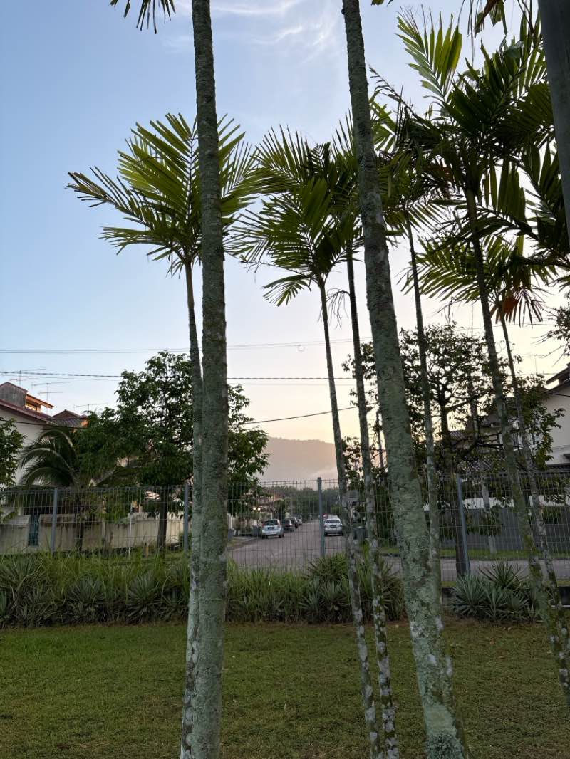 walking near me in Taman Kluang Indah in winter