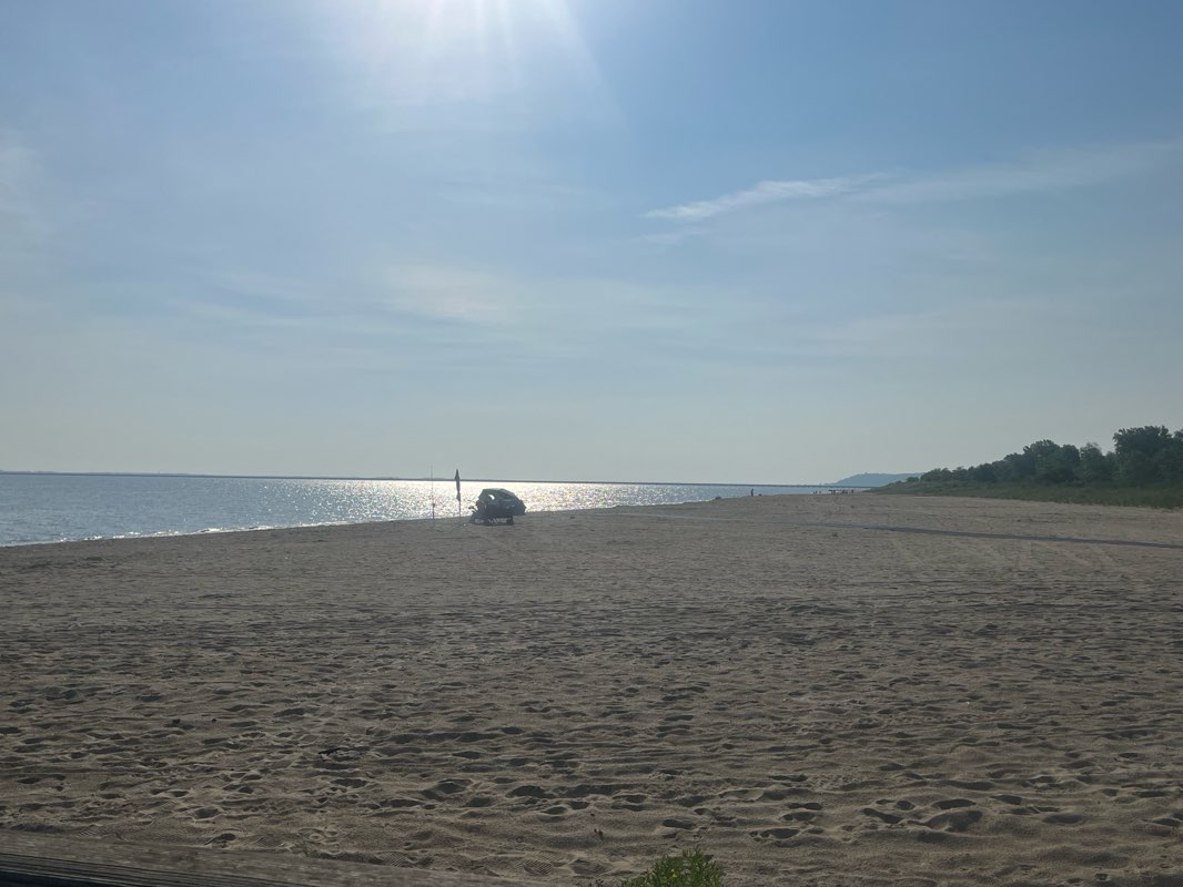 walking near me in Bayshore Waterfront Park in summer