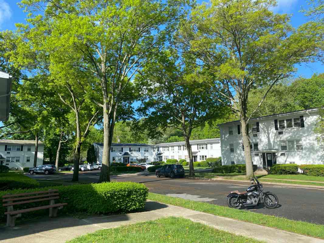 walking near me in Crawford Park in spring