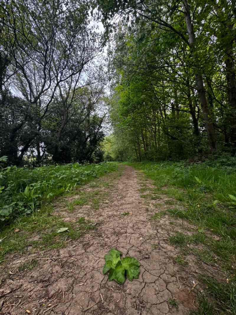 walking near me in Homestead Park in spring