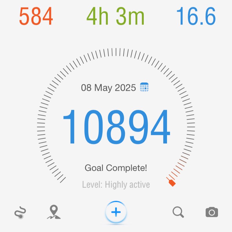 BTC PACE Setters 👟👟 Special K post image