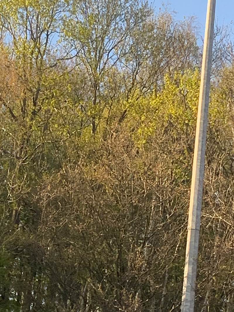 walking near me in Honeylands in spring