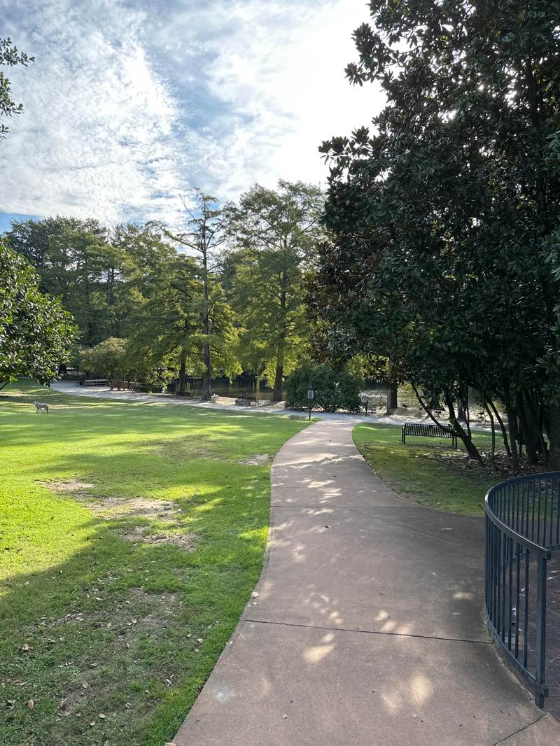 walking near me in Swan Lake Bland Garden in autumn