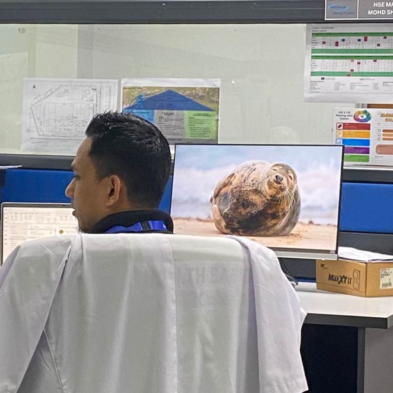 yyy nuggets post image