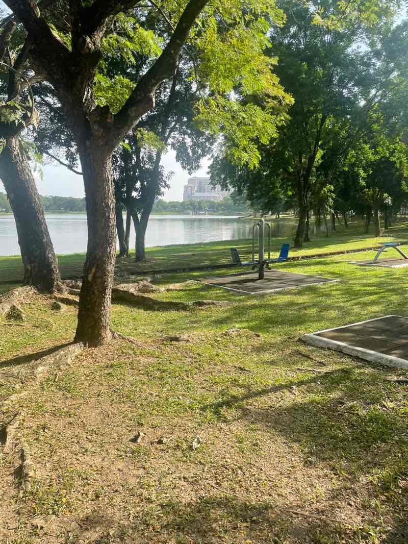 walking near me in Section 7 Pond in autumn