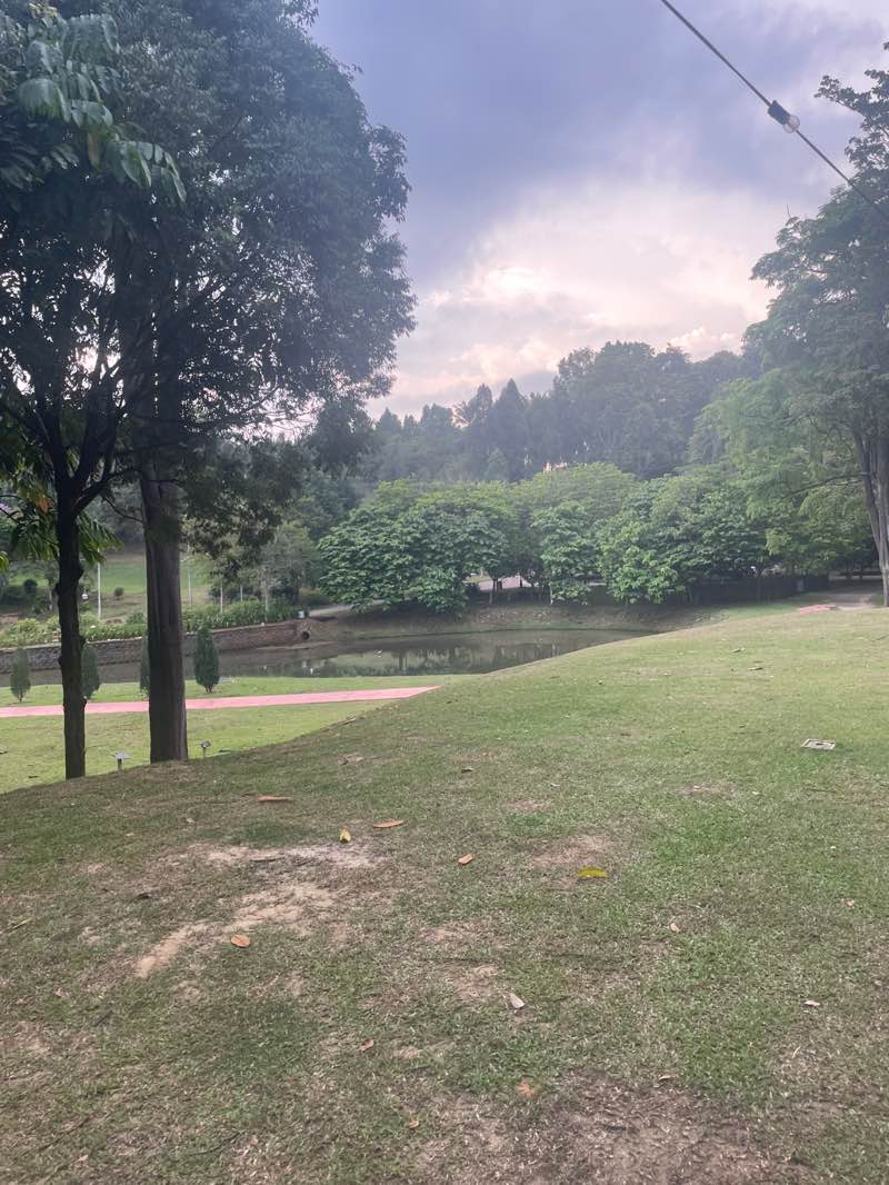 walking near me in Putrajaya Botanical Garden in summer