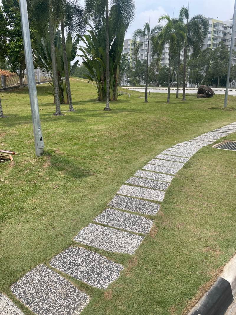 walking near me in UNM Arboretum in autumn