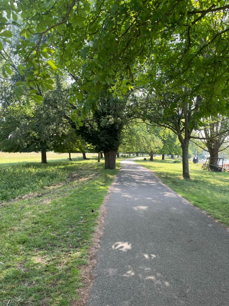 walking near me in Ditton Meadows in summer