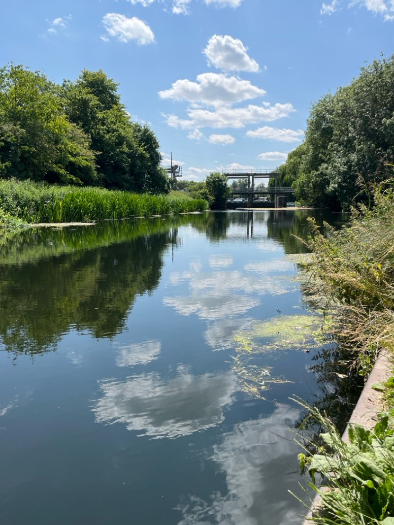 walking near me in Waterbeach Green in summer
