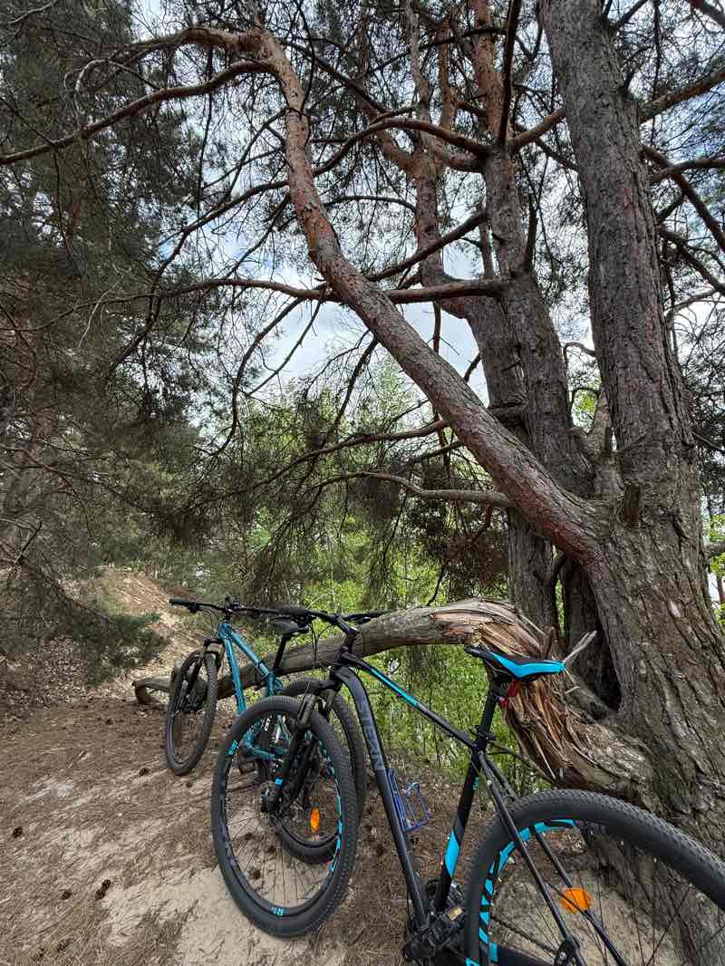 walking near me in Свято-Троицкий бульвар in spring