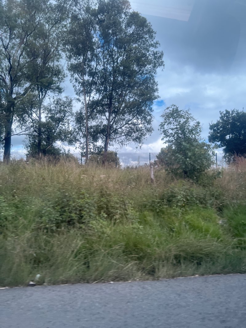 walking near me in Innesfree Park in autumn