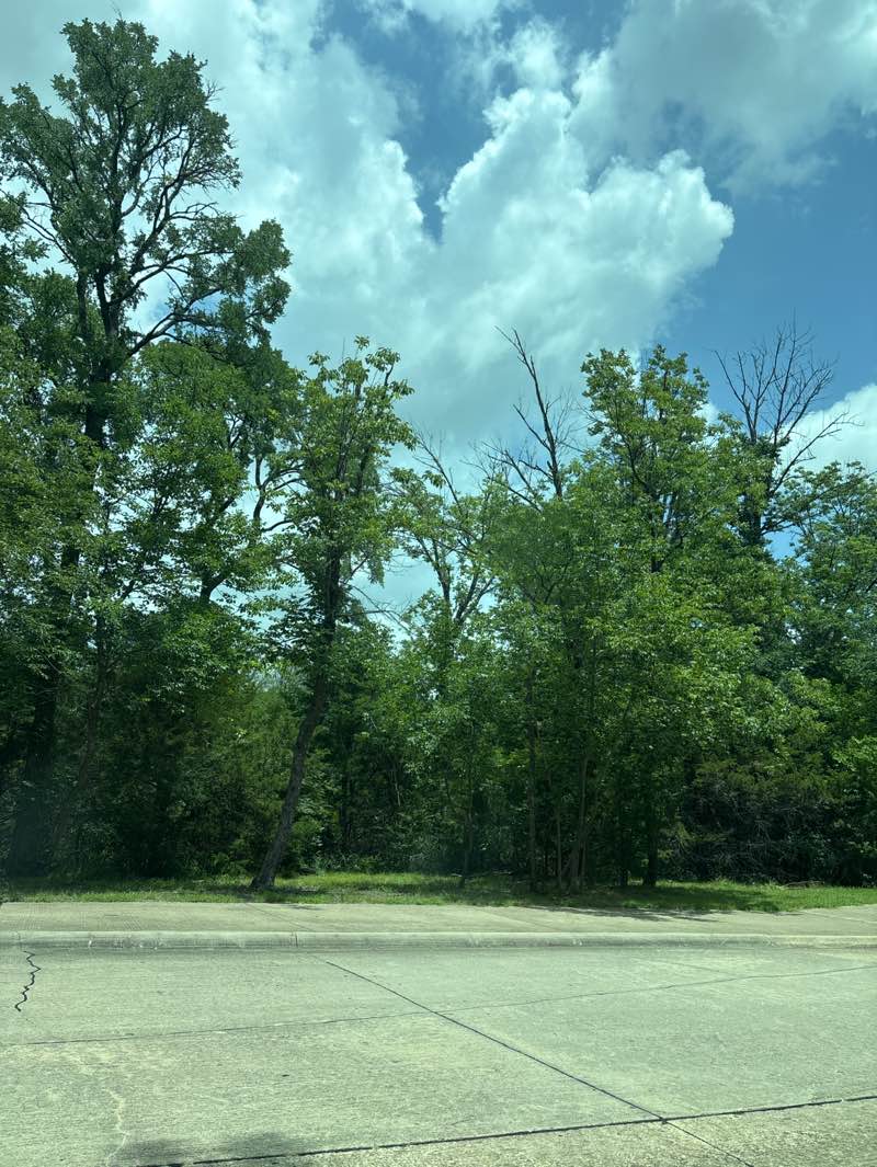 walking near me in Woods Park in summer