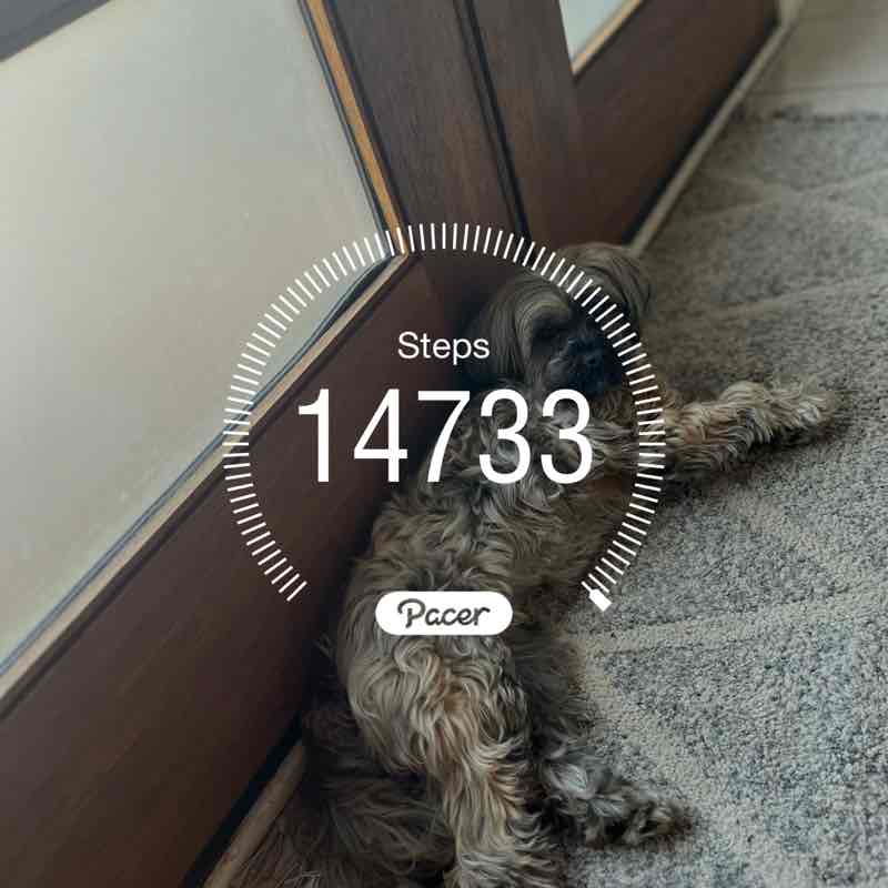 skibidi toilet alpha 👅🦶 post 1