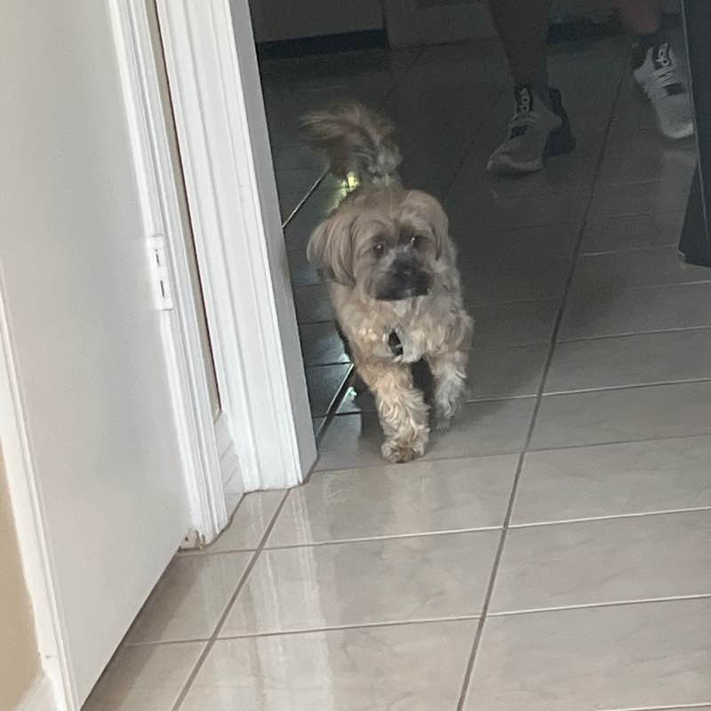 skibidi toilet alpha 👅🦶 post 2