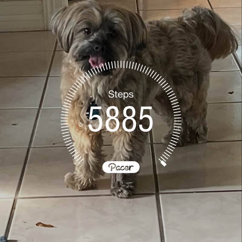 skibidi toilet alpha 👅🦶 post 1