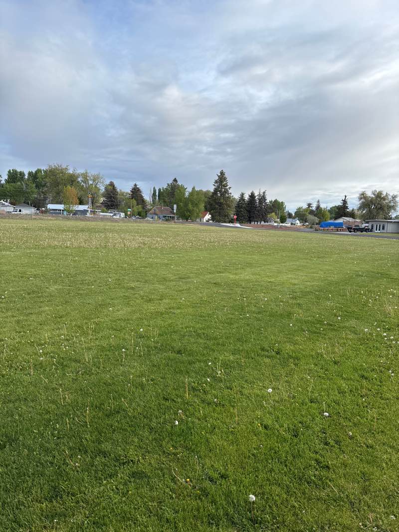 walking near me in Hines City Park in spring