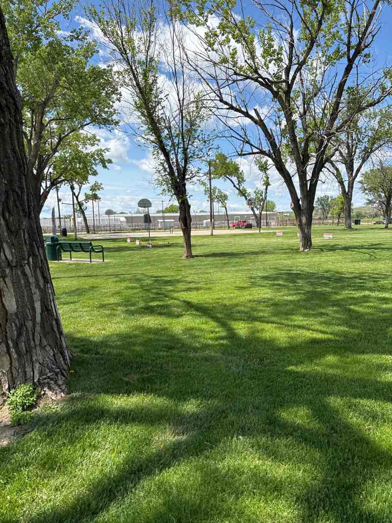 walking near me in Cottonwood Park in spring