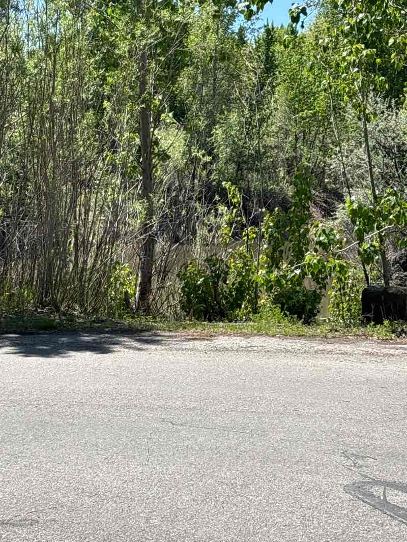 walking near me in Rexburg Nature Park in spring