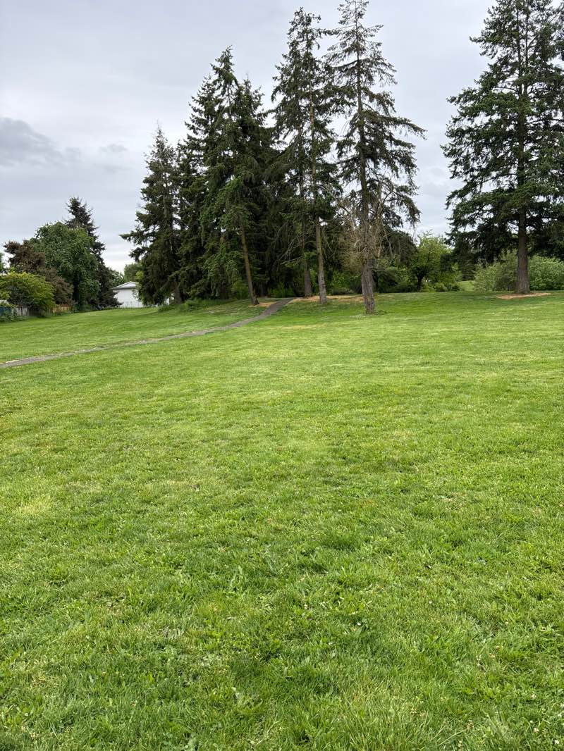 walking near me in Periwinkle Park in spring