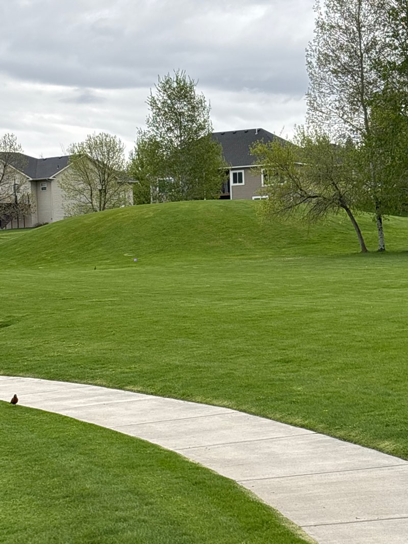 walking near me in Hidden Valley Park in spring
