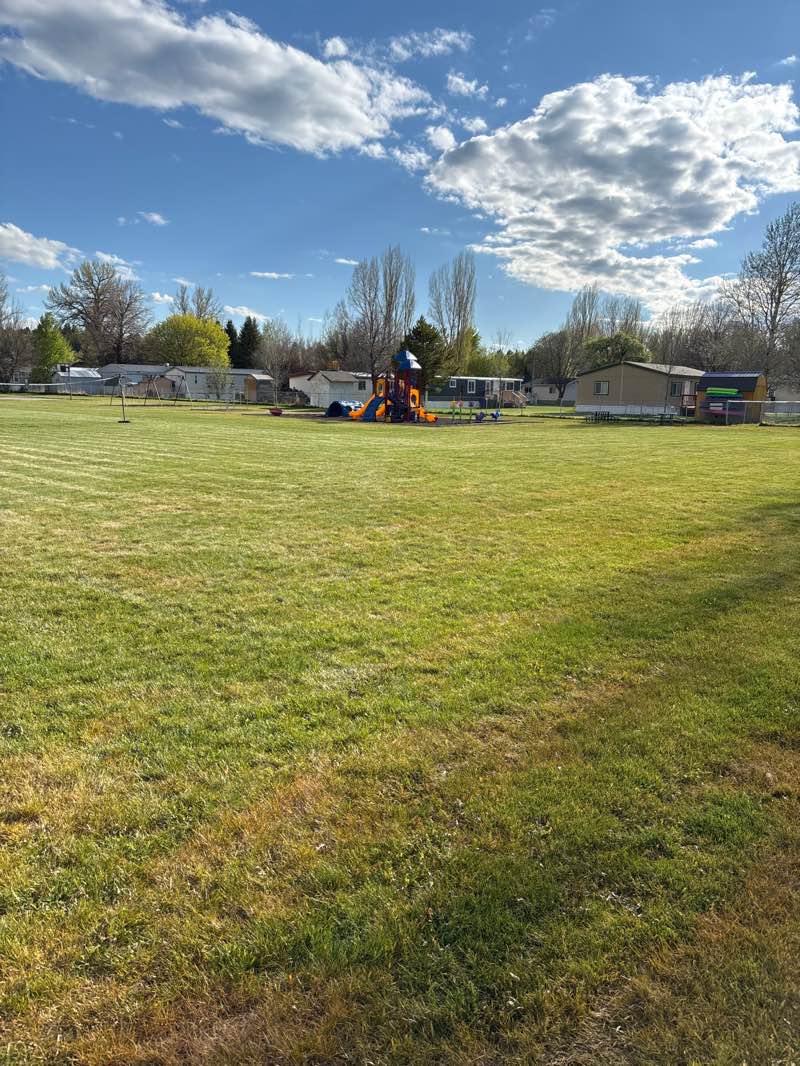 walking near me in Mill Hollow Park in spring