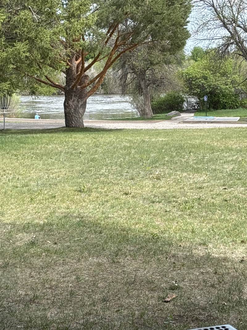 walking near me in Beaver Dick Park in spring