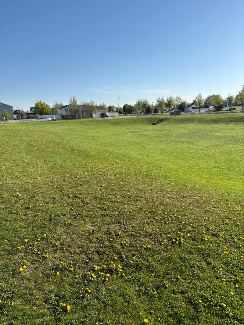 walking near me in Oakbrook Pit in spring