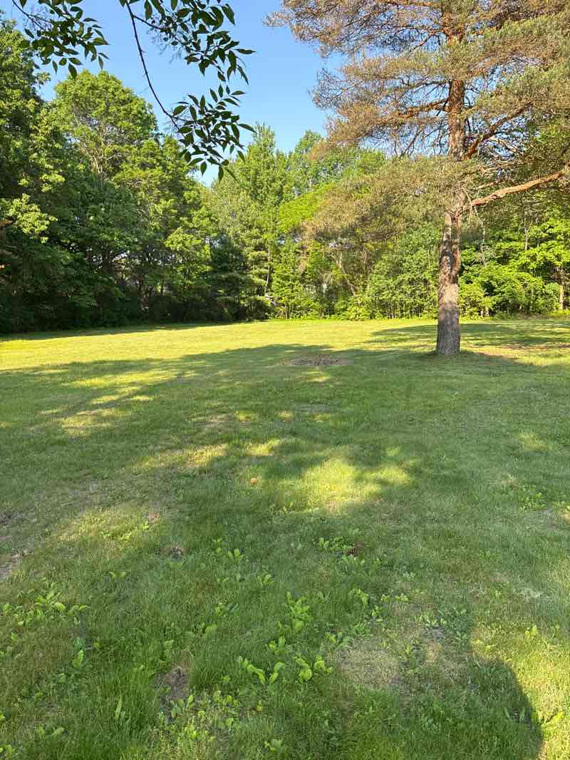 walking near me in St. Mary's Park in summer