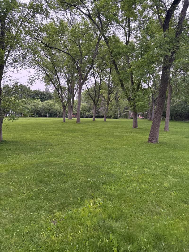 walking near me in Garden Park in summer