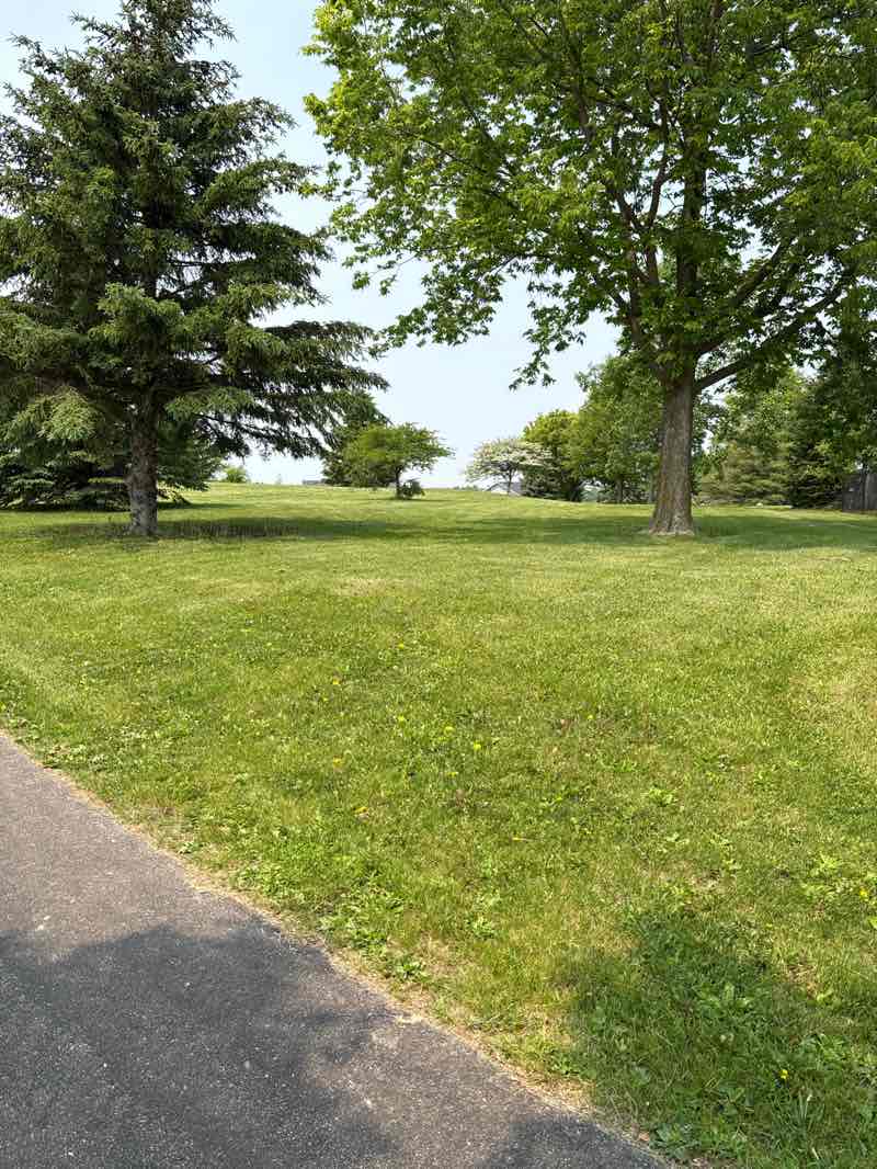 walking near me in Wedgewood Hills Park in summer