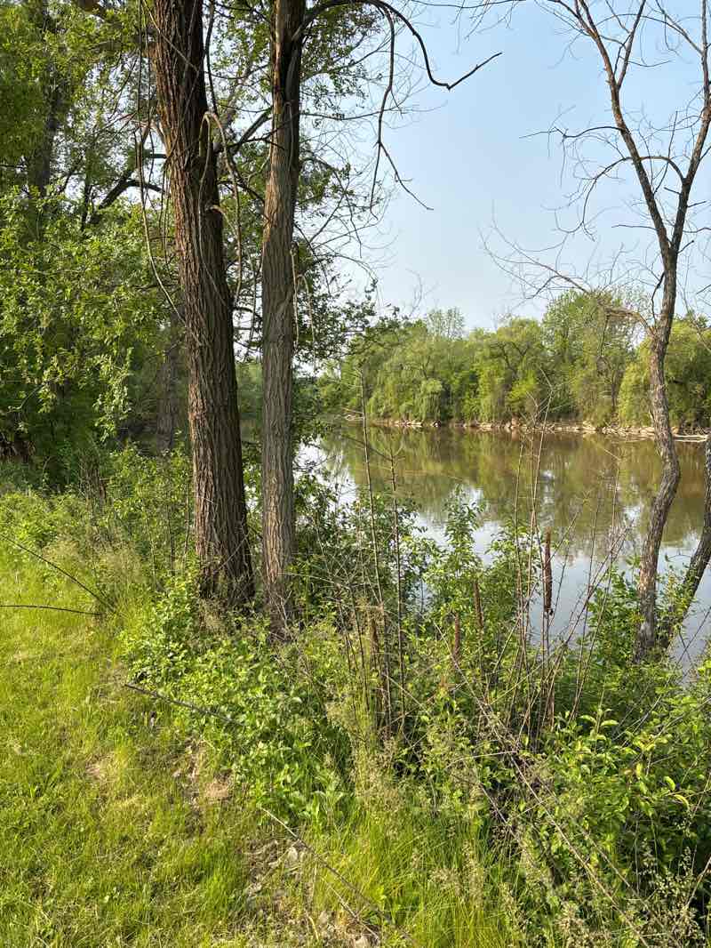 walking near me in Emerson Park in summer